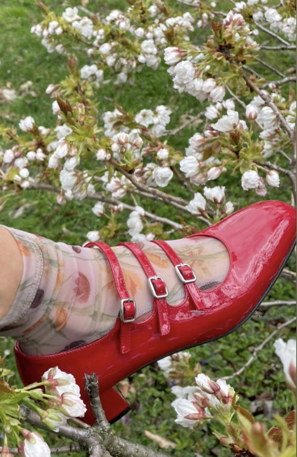 SAMPLE Botanical Floral Mesh Socks – Darner Socks